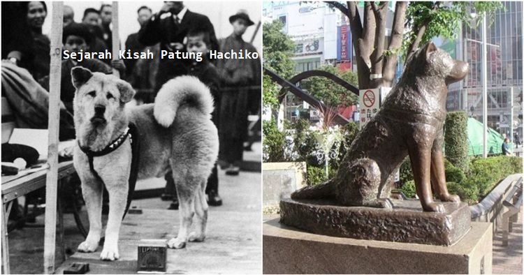 Sejarah Kisah Patung Hachiko